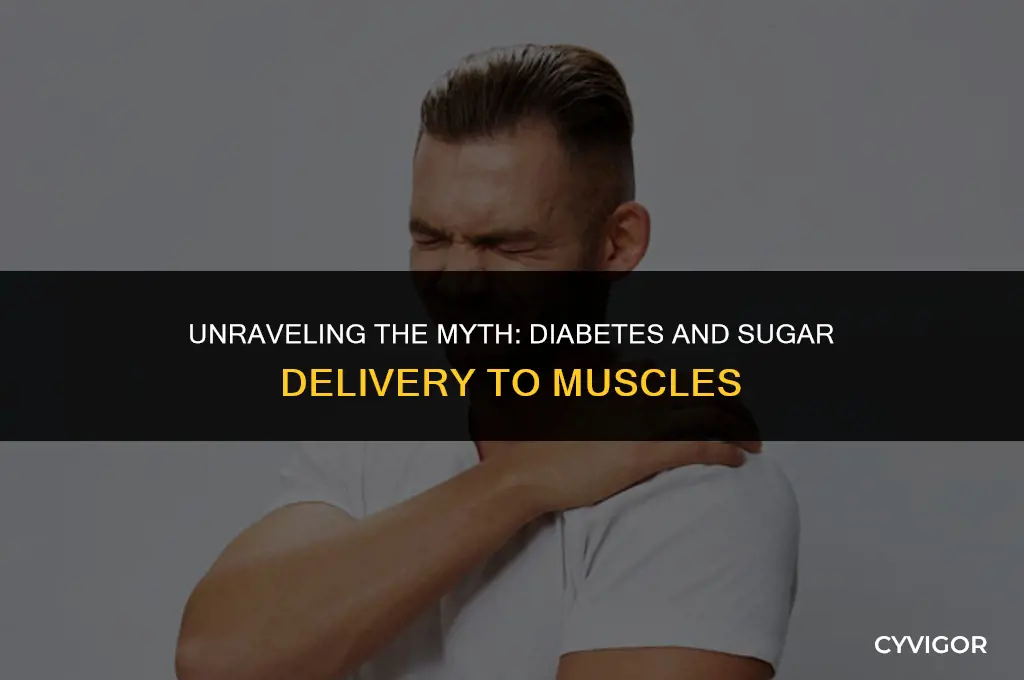 does diabees slow down sugars getting to muscles