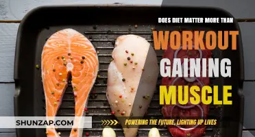 Diet vs. Workout: Which Matters More for Muscle Gain?