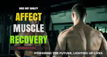 Fueling Your Gains: The Impact of Diet Quality on Muscle Recovery