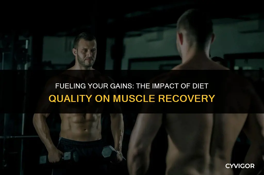 does diet quality affect muscle recovery