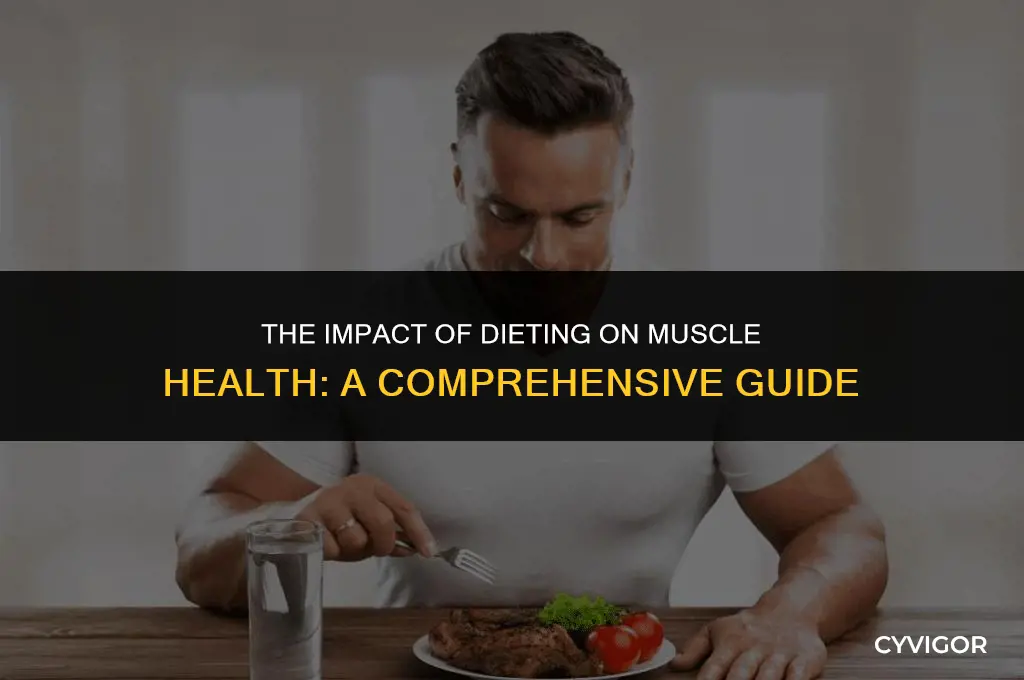 does dieting affect muscles
