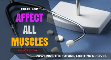 Exploring Diltiazem's Impact on Muscle Function: A Comprehensive Guide