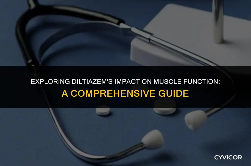 does diltiazem affect all muscles