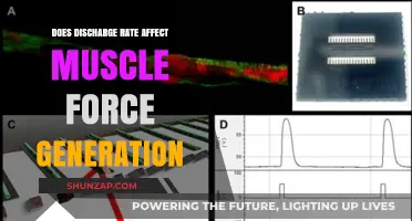 Exploring the Impact of Discharge Rate on Muscle Force Generation