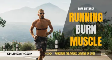 Distance Running: Burning Muscle or Myth?