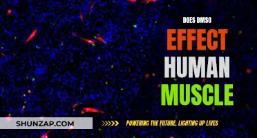 DMSO's Effect on Human Muscle: What You Need to Know