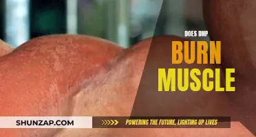 DNP's Impact: Does It Burn Muscle or Just Fat?