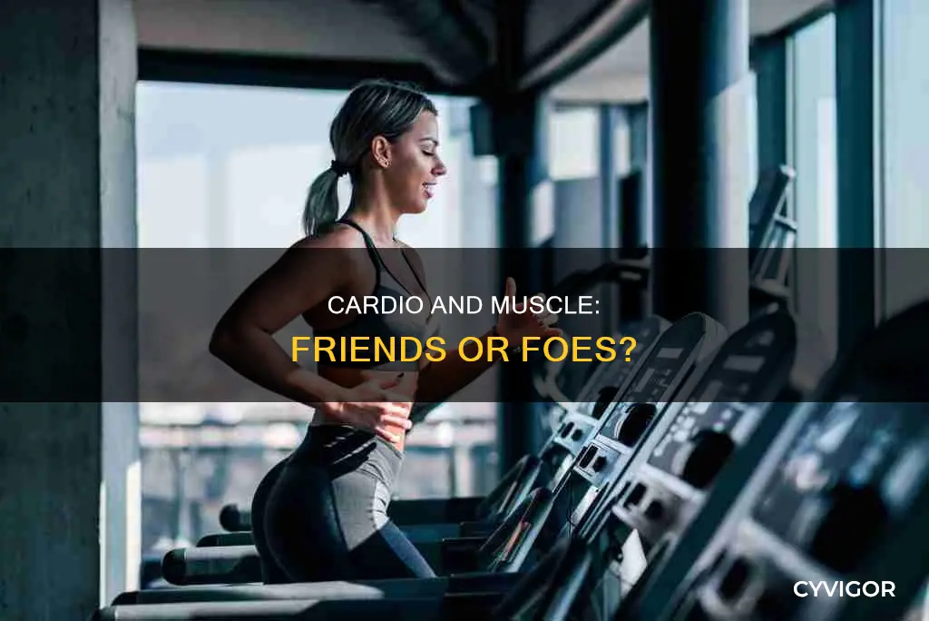 does doing cardio burn muscle