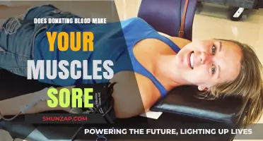 Does Blood Donation Cause Muscle Soreness? Facts and Insights