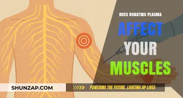 Does Donating Plasma Impact Your Muscle Health?