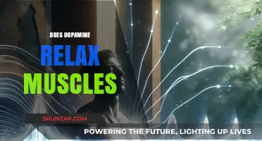 Dopamine's Role in Muscle Relaxation: Unraveling the Mind-Body Connection