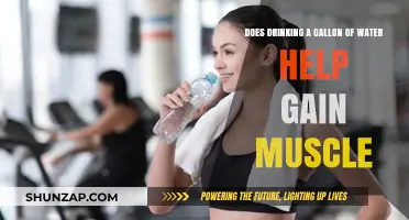 Hydration and Muscle Growth: Does a Gallon of Water Help?