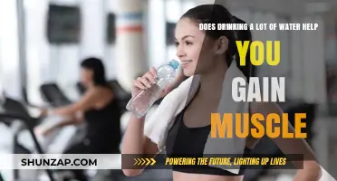 Hydration and Muscle Growth: Does Drinking More Water Help?