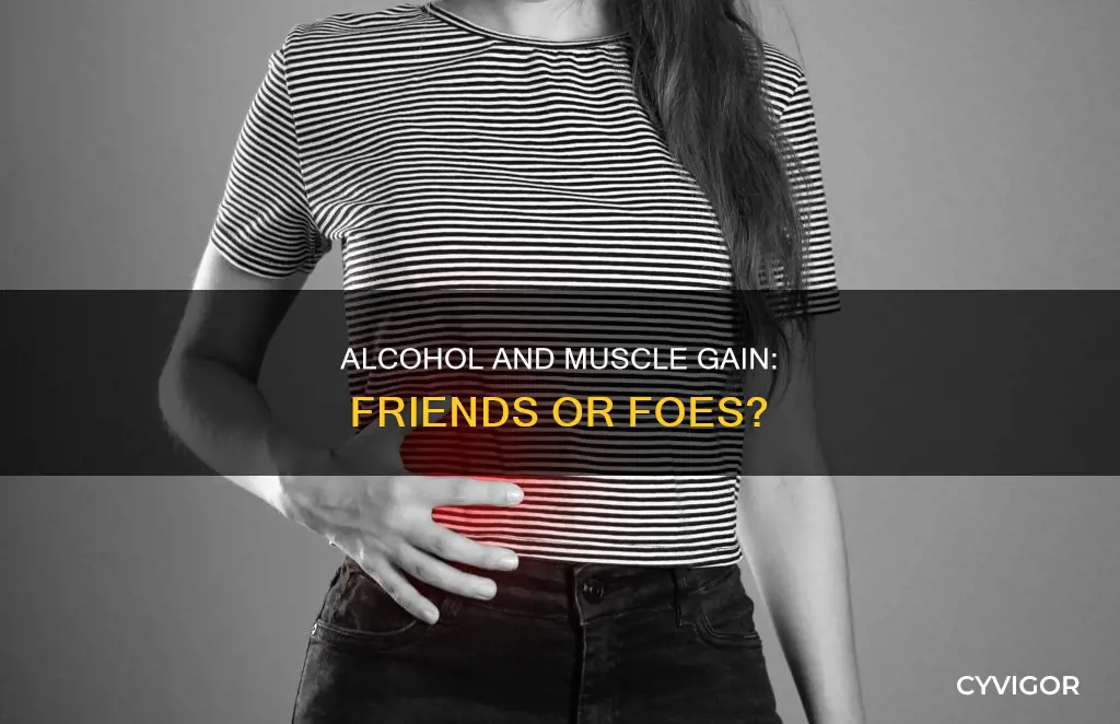 does drinking alcohol destroy muscle