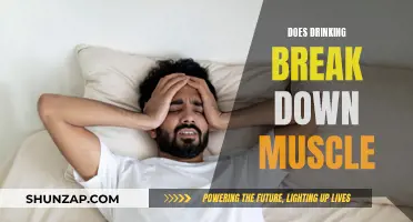 Alcohol's Impact: Muscle Breakdown and Recovery
