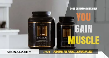 Milk and Muscle Gain: Unlocking the Truth Behind This Dairy Myth