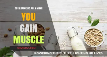 Milk and Muscle Gain: Separating Fact from Fiction in Fitness