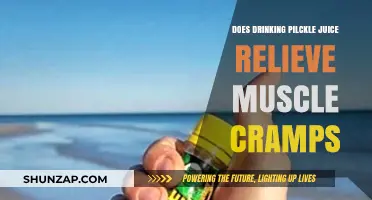 The Surprising Truth About Pickle Juice and Muscle Cramps Relief