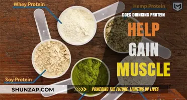 Protein Shakes: The Muscle-Building Myth or Effective Supplement?