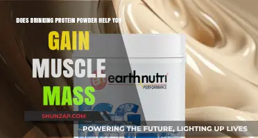 Protein Powder and Muscle Gain: Fact or Fiction?
