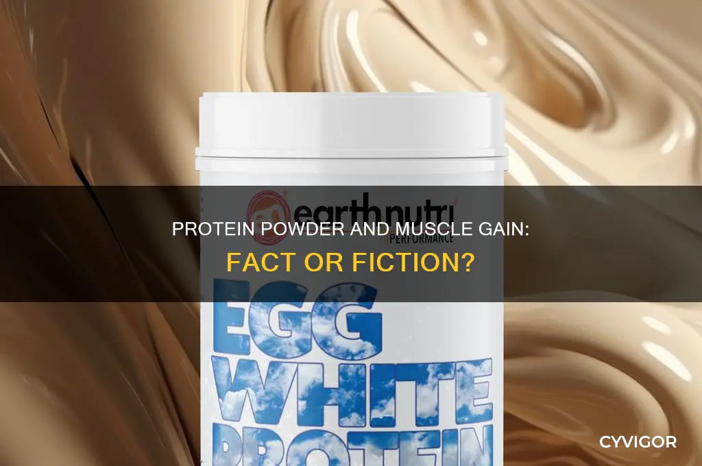 does drinking protein powder help you gain muscle mass