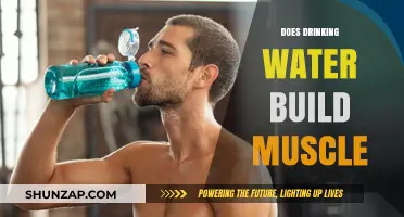 Hydration and Muscle Growth: Separating Fact from Fiction