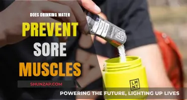 Hydration and Muscle Recovery: Can Drinking Water Prevent Sore Muscles?