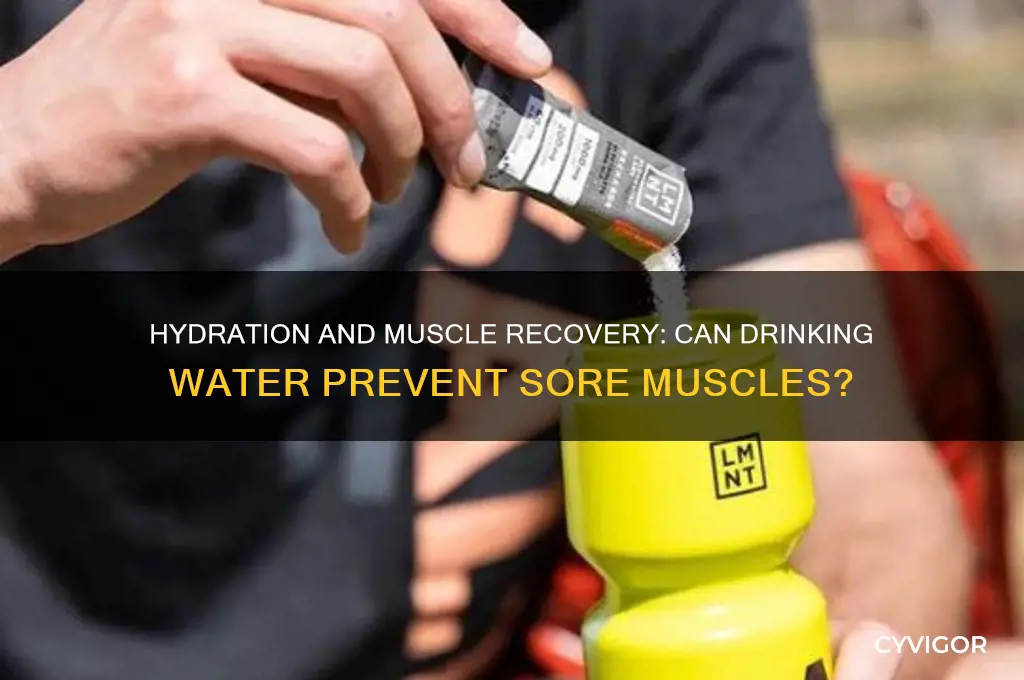 does drinking water prevent sore muscles