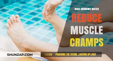 Hydration and Muscle Health: Does Drinking Water Reduce Cramps?