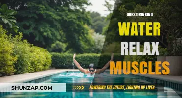 Hydration and Muscle Relaxation: How Water Impacts Your Body's Tension