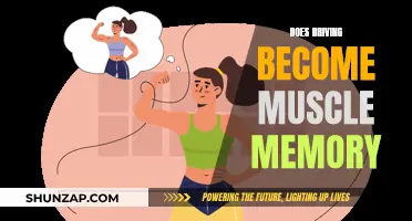 Driving: Muscle Memory Mastery or Mindful Maneuvering?