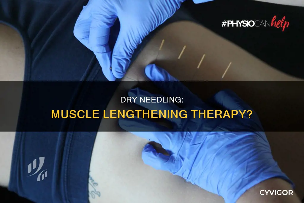 does dry needling lengthen muscles