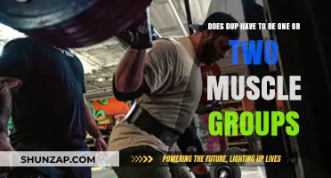Does DUP Training Require One or Two Muscle Groups?