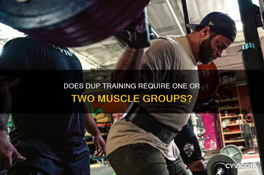 does dup have to be one or two muscle groups