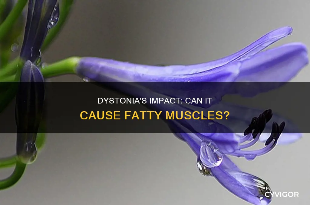 does dystonia cause fatty muscles