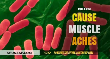 E. coli Infections: Muscle Aches and Pains