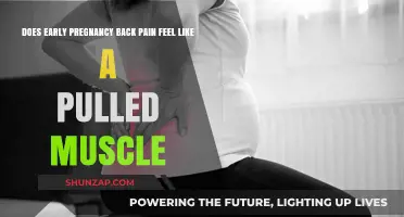 Early Pregnancy Back Pain: Pulled Muscle or Something Else?