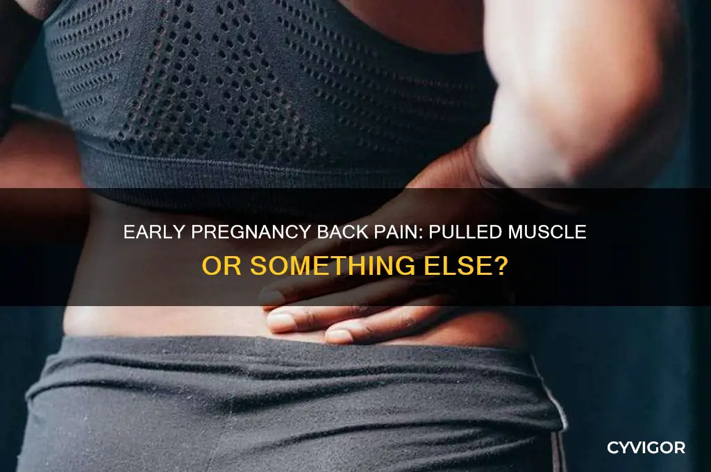 does early pregnancy back pain feel like a pulled muscle
