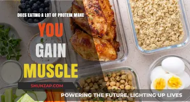 Protein Intake and Muscle Gain: Separating Fact from Fiction