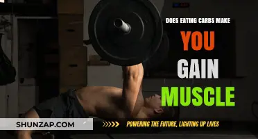 Carbs and Muscle Gain: Separating Fact from Fiction in Fitness