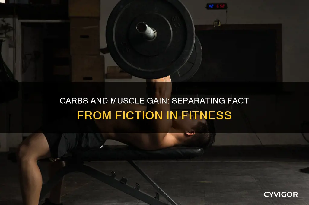 does eating carbs make you gain muscle