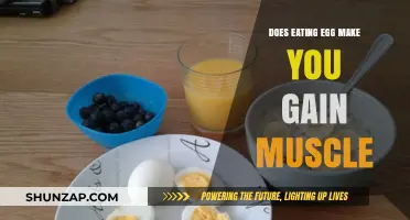 Can Eating Eggs Boost Muscle Gain? Unlocking Protein Power