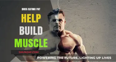 Unlocking Muscle Growth: The Surprising Role of Fat in Your Diet