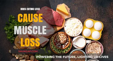 Less Food, Less Muscle: What's the Link?