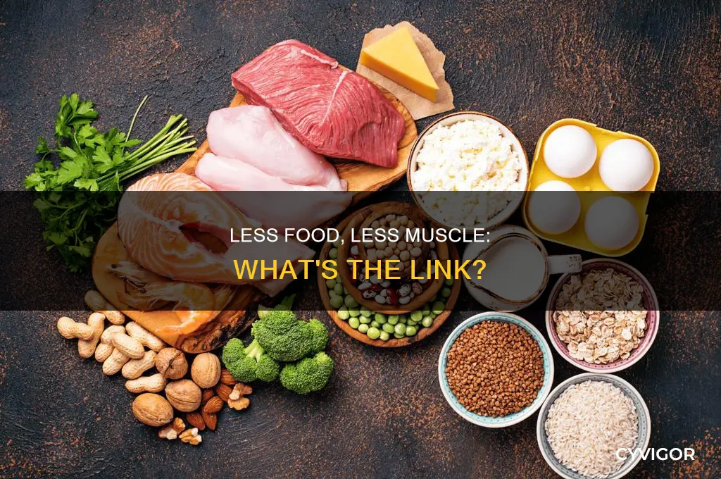 does eating less cause muscle loss