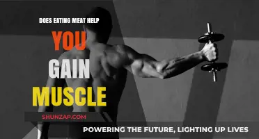 Does Eating Meat Boost Muscle Gain? Facts and Myths Explained