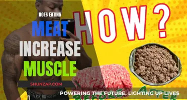 Meat Consumption: Building Muscle or Just a Myth?