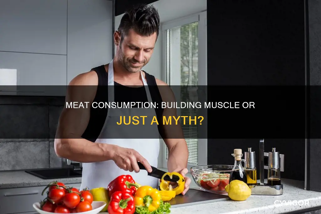 does eating meat increase muscle
