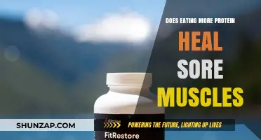 Can Extra Protein Speed Up Muscle Recovery After Intense Workouts?