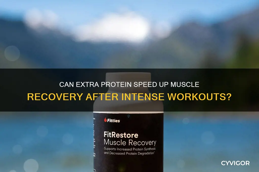 does eating more protein heal sore muscles